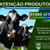 CAMPANHA DE VACINAÇÃO CONTRA A FEBRE AFTOSA